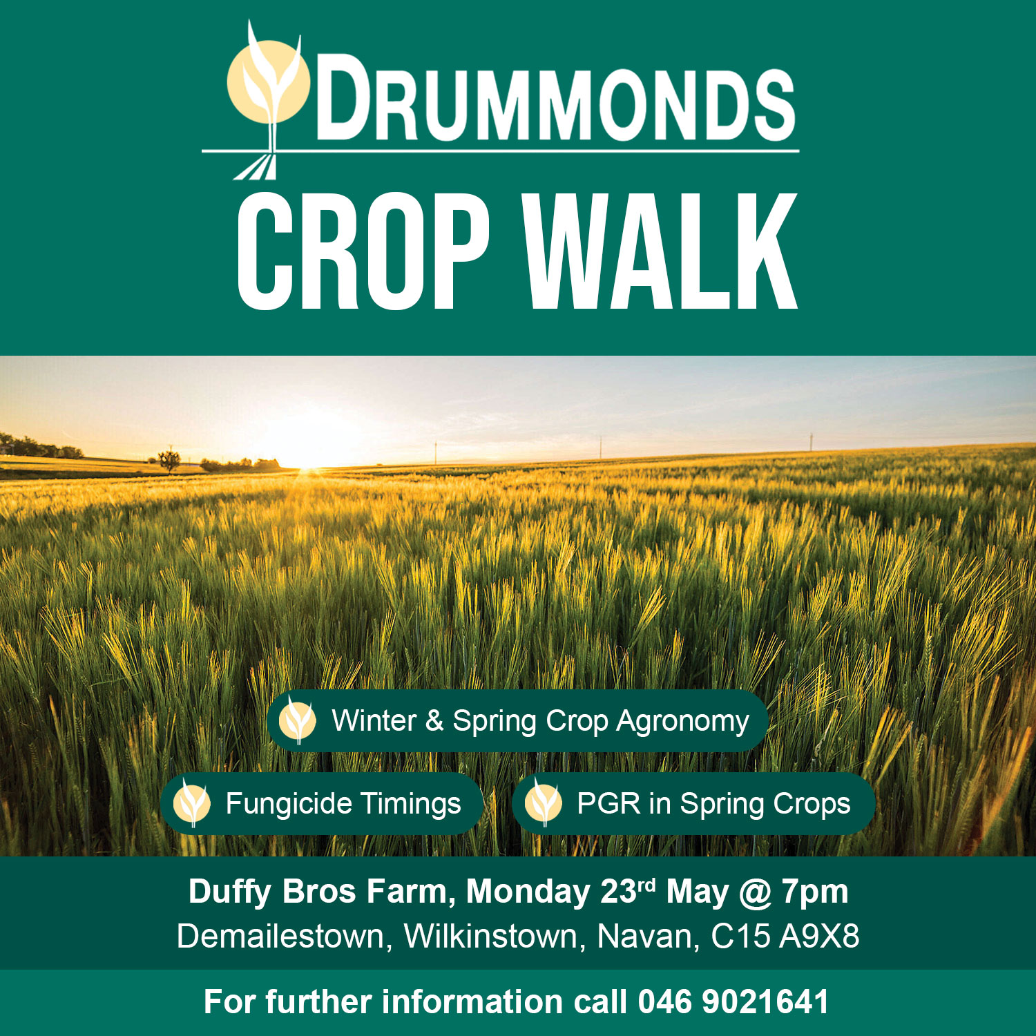 Drummonds Crop Walk 26th April 2022