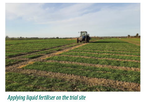 applying fertiliser on trial site
