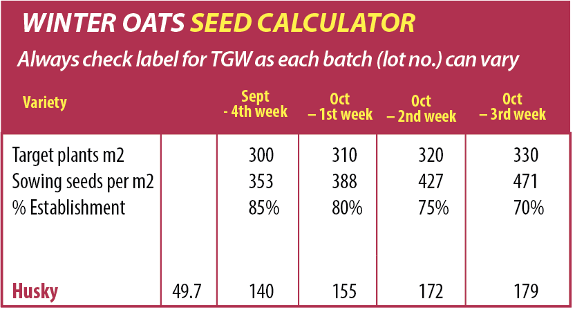 Winter Oats Seed Calculator