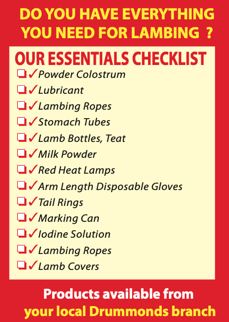 Everything for the Lamb Checklist