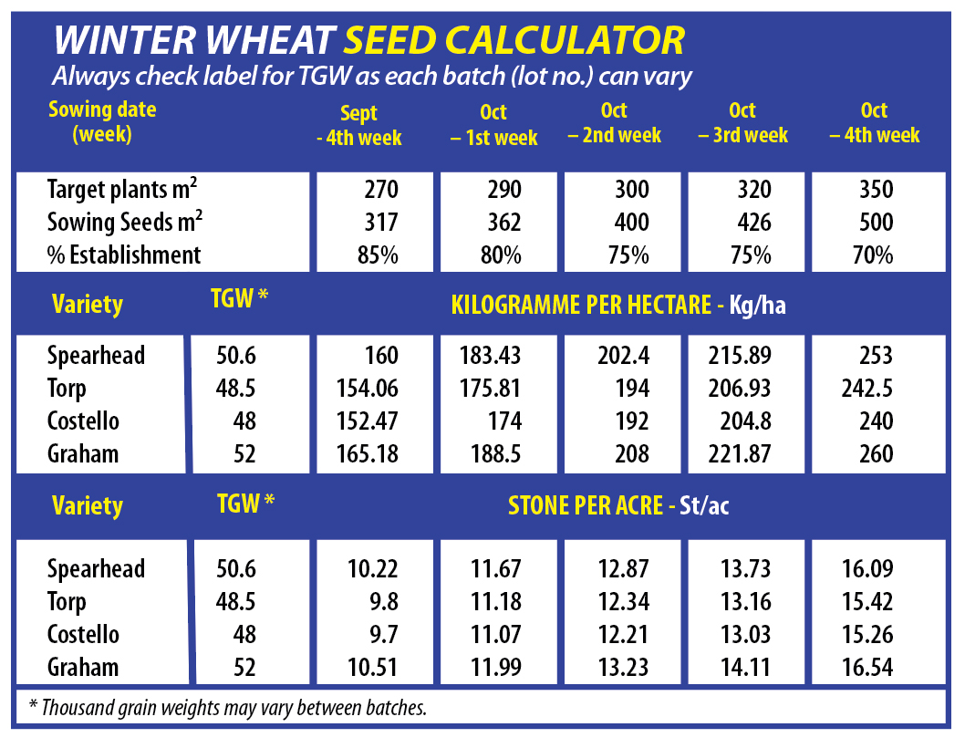 winter wheat seed calculator