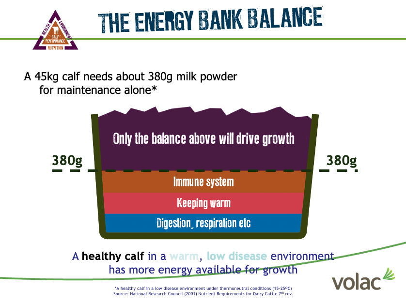 The Energy Bank Balance