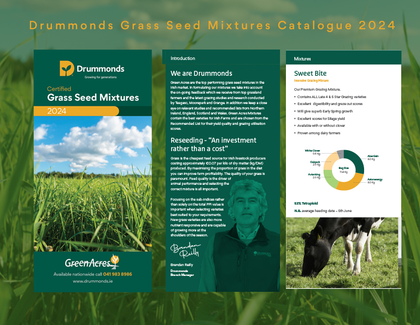 Grass Seed Catalogue 2024