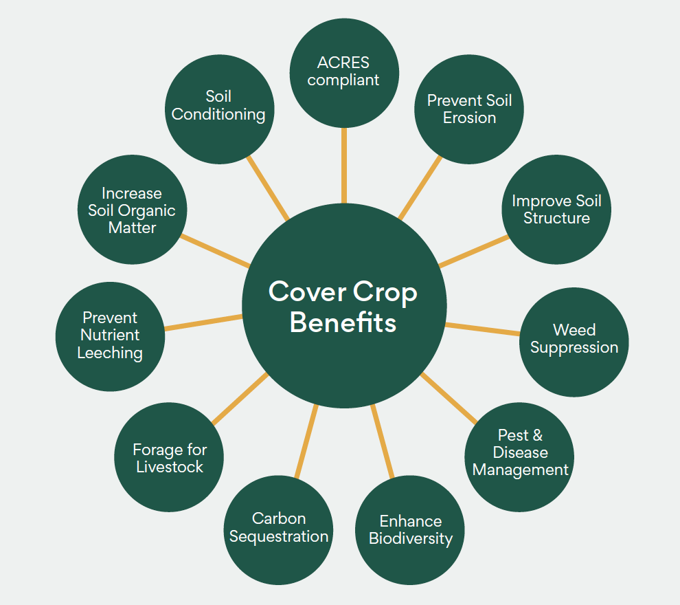 cover crop benefits