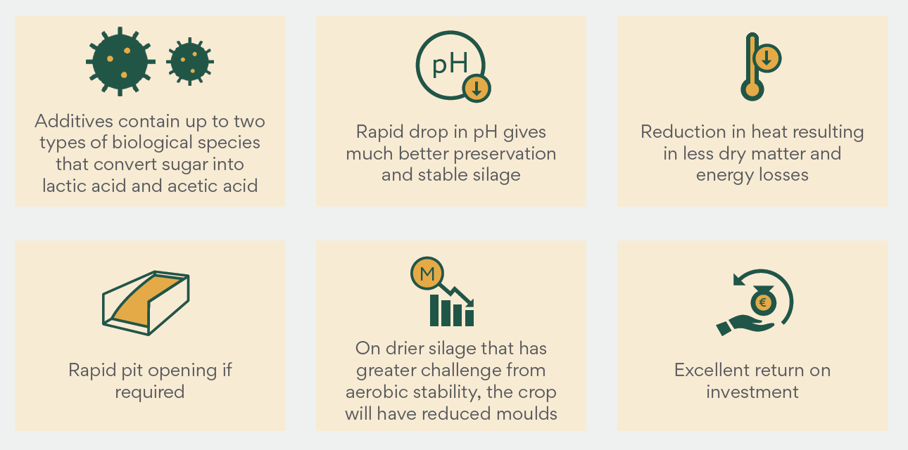 Benefits of silage additives