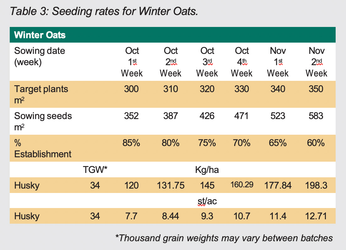 seeding rates winter oats