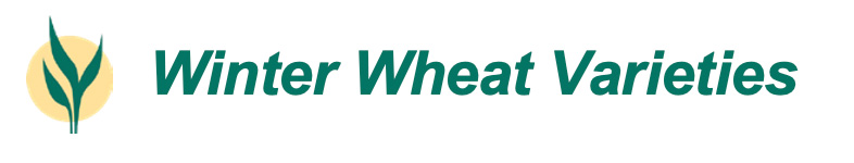 winter wheat varieties header
