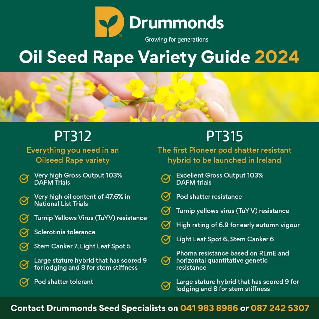 oilseed Rape varieties 2024