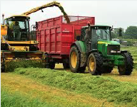 silage harvester fodder