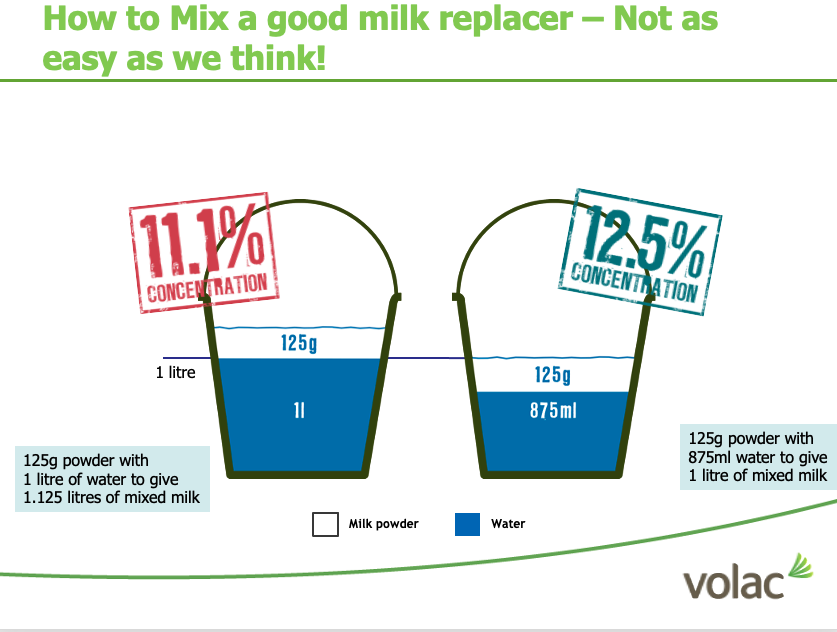 Ho to Mix a Good Milk replacer