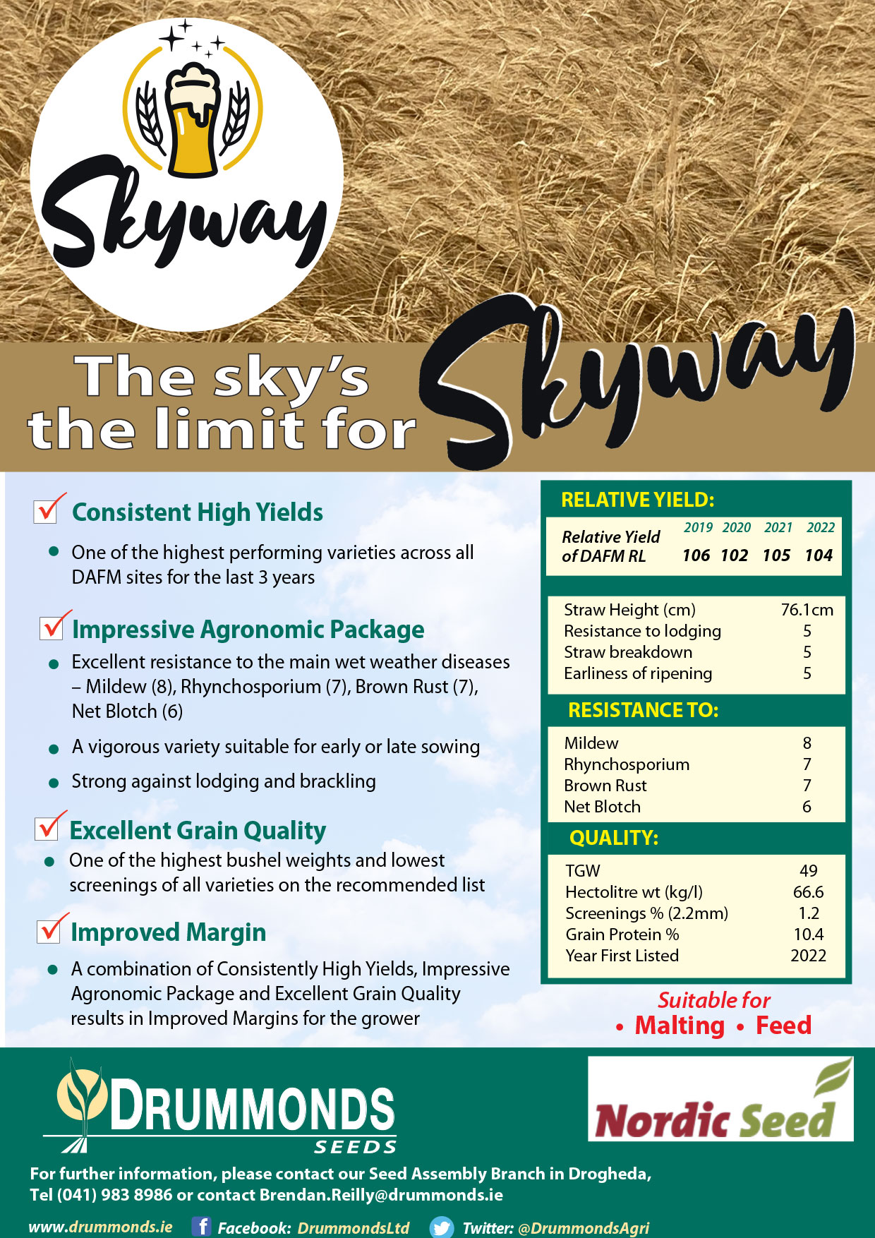 Skyway A4 Flyer