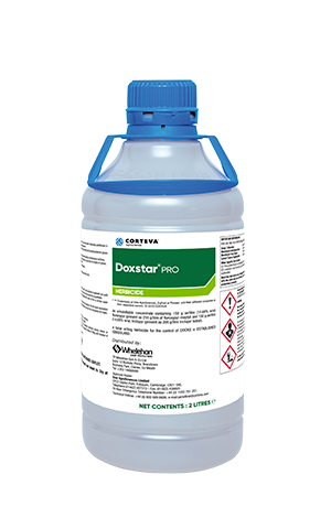 Doxstar Pro 3 litre