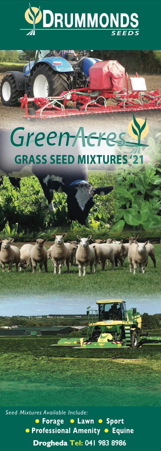 Green Acres Forage Grass Seeds