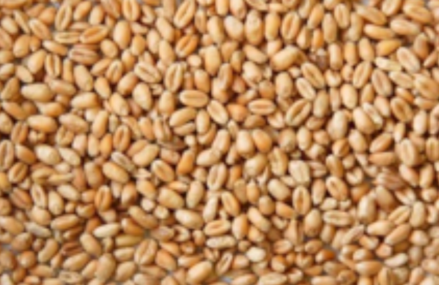 Rolled Wheat
