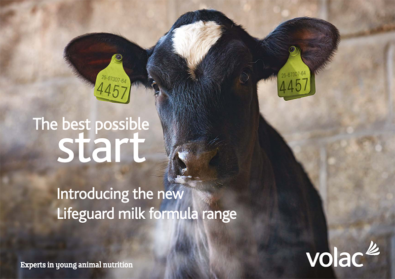 Volac - Lifeguard milk formula range.